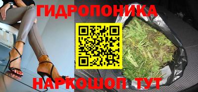 прущие грибы Будённовск