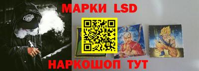 прущие грибы Будённовск