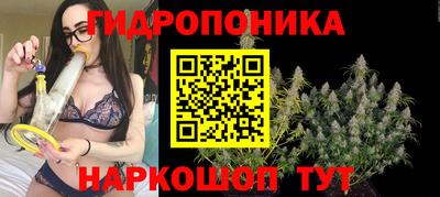 прущие грибы Будённовск