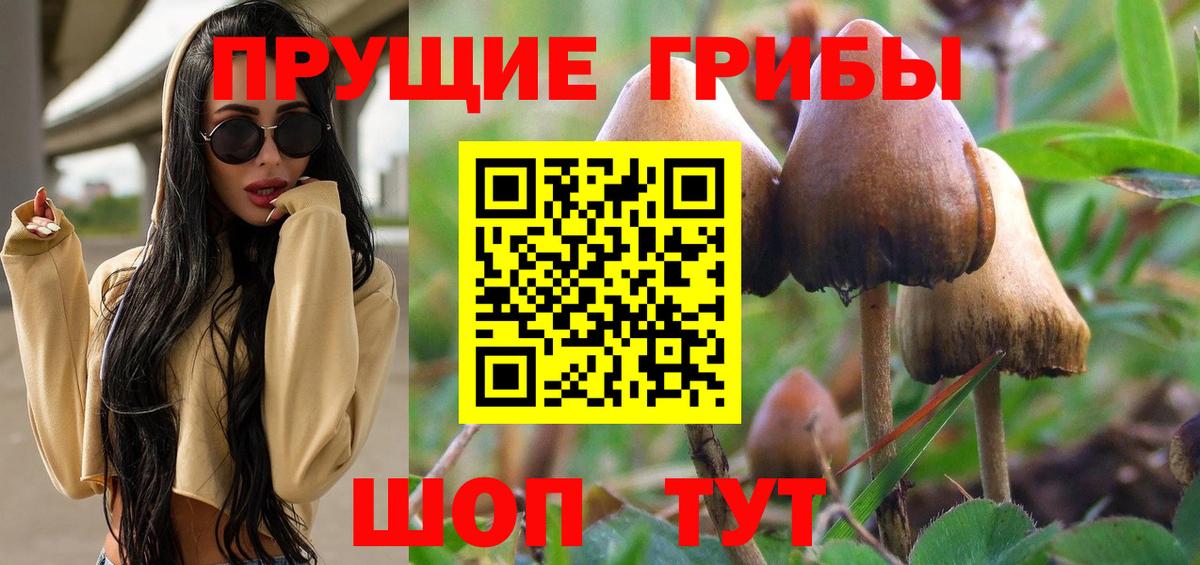 Галлюциногенные грибы GOLDEN TEACHER  Вход с VPN  Сорочинск  Псилоцибиновые грибы ЛСД 